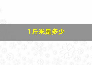 1斤米是多少