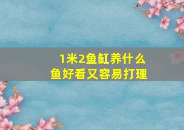 1米2鱼缸养什么鱼好看又容易打理