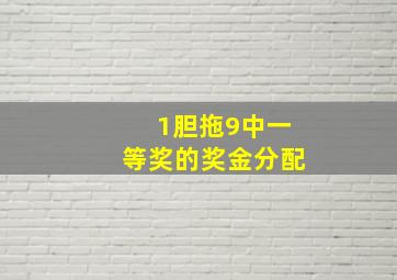 1胆拖9中一等奖的奖金分配