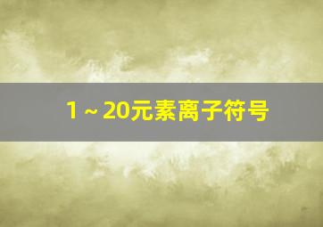 1～20元素离子符号