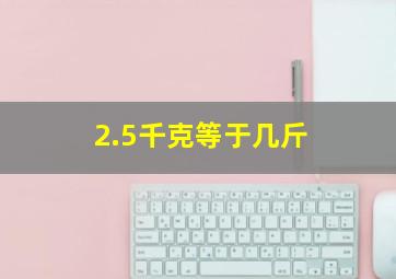 2.5千克等于几斤