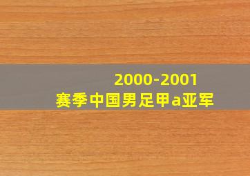 2000-2001赛季中国男足甲a亚军