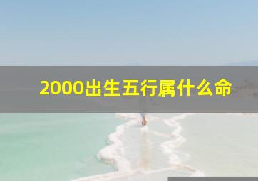 2000出生五行属什么命