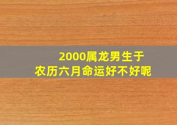 2000属龙男生于农历六月命运好不好呢