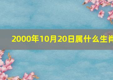 2000年10月20日属什么生肖