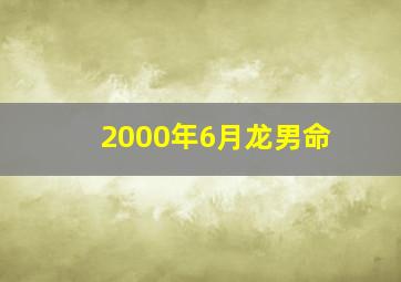 2000年6月龙男命