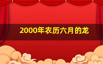 2000年农历六月的龙