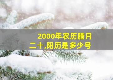 2000年农历腊月二十,阳历是多少号