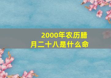 2000年农历腊月二十八是什么命