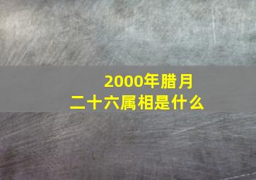 2000年腊月二十六属相是什么