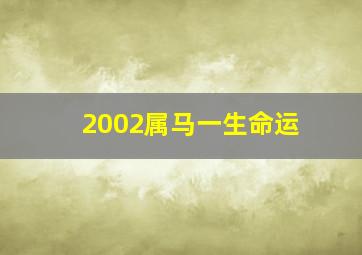 2002属马一生命运