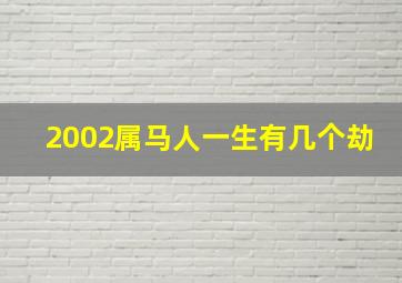 2002属马人一生有几个劫