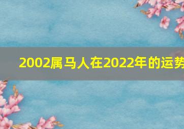 2002属马人在2022年的运势