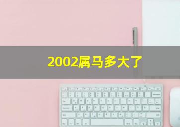 2002属马多大了