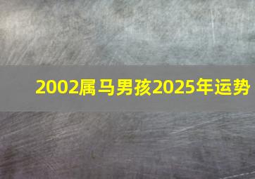 2002属马男孩2025年运势