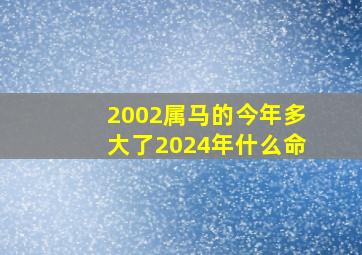 2002属马的今年多大了2024年什么命