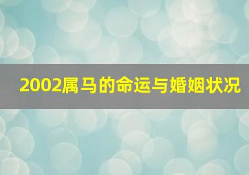 2002属马的命运与婚姻状况