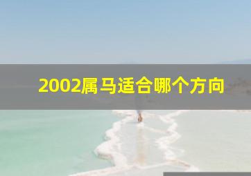 2002属马适合哪个方向