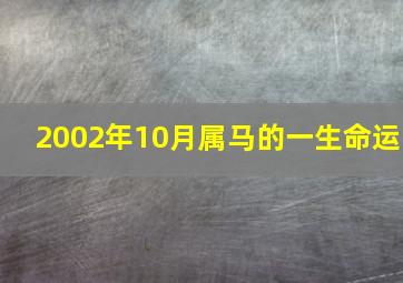 2002年10月属马的一生命运