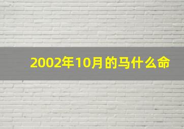 2002年10月的马什么命