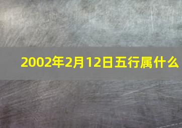 2002年2月12日五行属什么