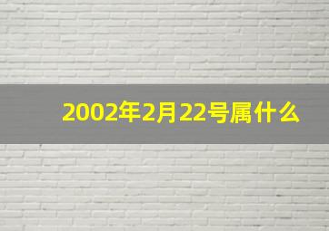 2002年2月22号属什么