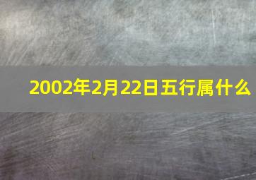 2002年2月22日五行属什么