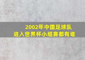 2002年中国足球队进入世界杯小组赛都有谁