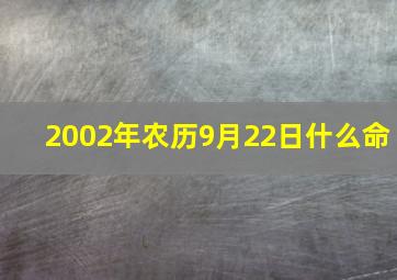 2002年农历9月22日什么命