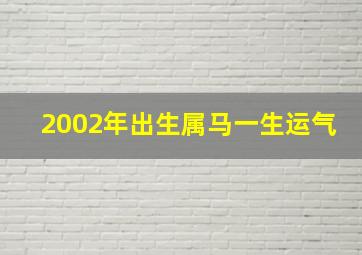 2002年出生属马一生运气