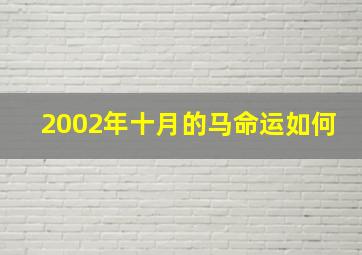 2002年十月的马命运如何