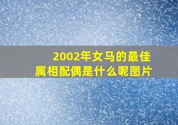 2002年女马的最佳属相配偶是什么呢图片