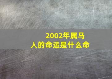 2002年属马人的命运是什么命