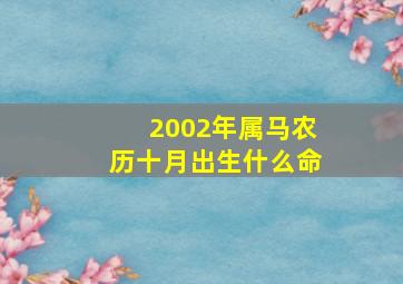 2002年属马农历十月出生什么命