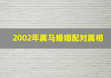 2002年属马婚姻配对属相