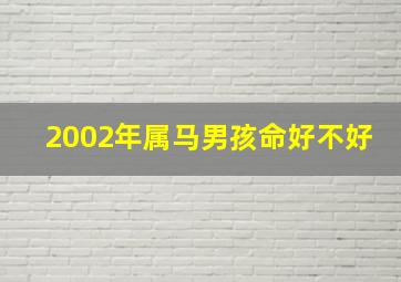 2002年属马男孩命好不好