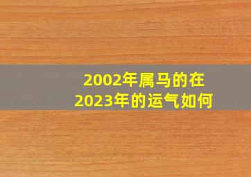 2002年属马的在2023年的运气如何