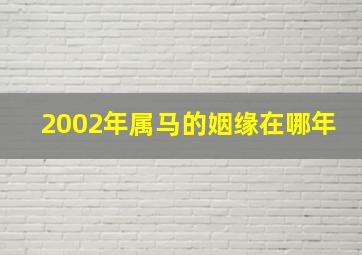 2002年属马的姻缘在哪年