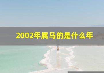 2002年属马的是什么年