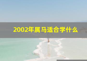 2002年属马适合学什么