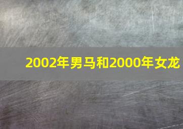 2002年男马和2000年女龙