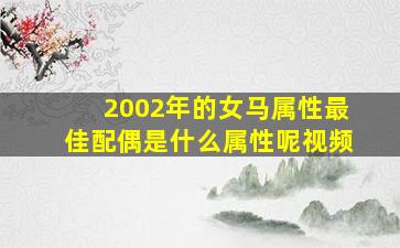 2002年的女马属性最佳配偶是什么属性呢视频