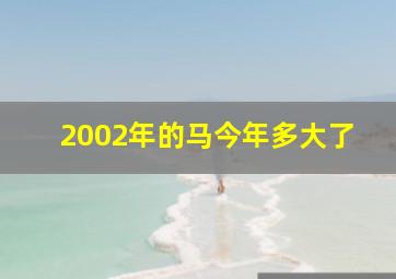 2002年的马今年多大了