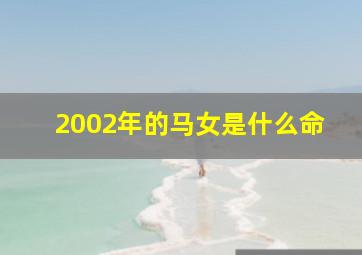 2002年的马女是什么命