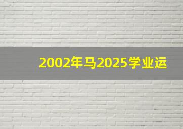 2002年马2025学业运