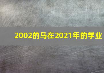 2002的马在2021年的学业