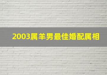 2003属羊男最佳婚配属相