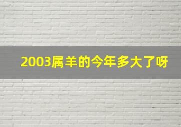 2003属羊的今年多大了呀