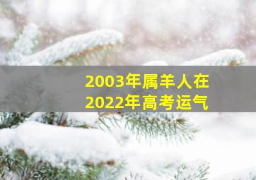 2003年属羊人在2022年高考运气