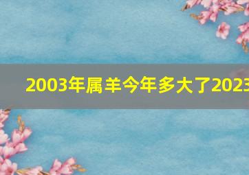 2003年属羊今年多大了2023